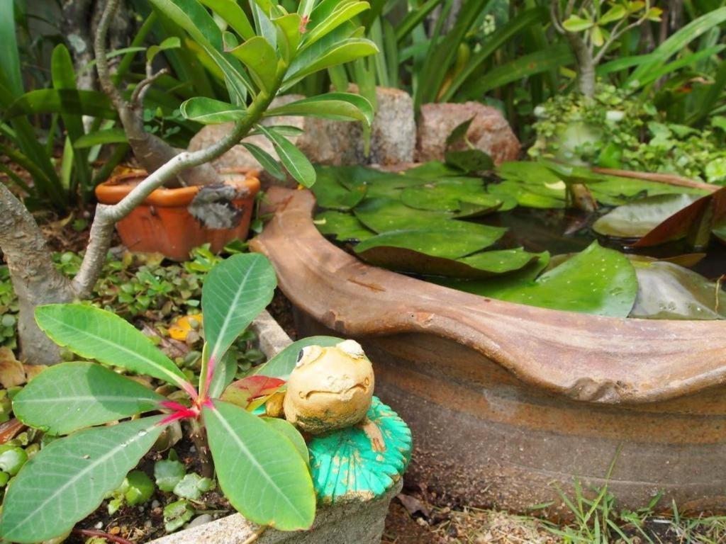 Baan Sala Lung Dam Hotel Bophut Kültér fotó
