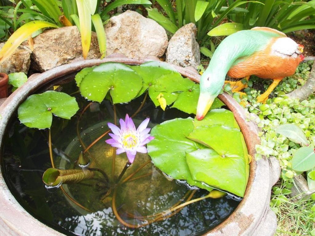 Baan Sala Lung Dam Hotel Bophut Kültér fotó